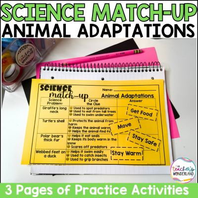 Animal Adaptations Science Sorts Centers Review Interactive Notebook Review