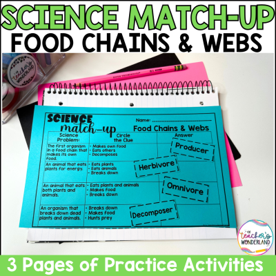 Food Chains & Webs Science Sorts Centers Review Interactive Notebook Review