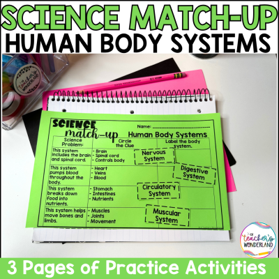 Human Body Systems Science Sorts Centers Review Interactive Notebook Review