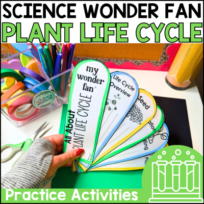 3rd-5th Grade Plant Life Cycle Science Fact Fan Craftivity Activity - Center